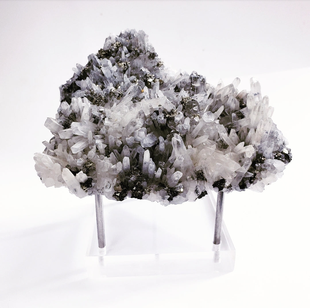 Clear 3 Prong Stand