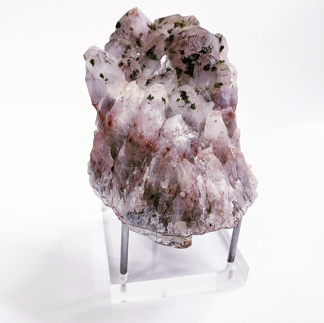 Clear 3 Prong Stand