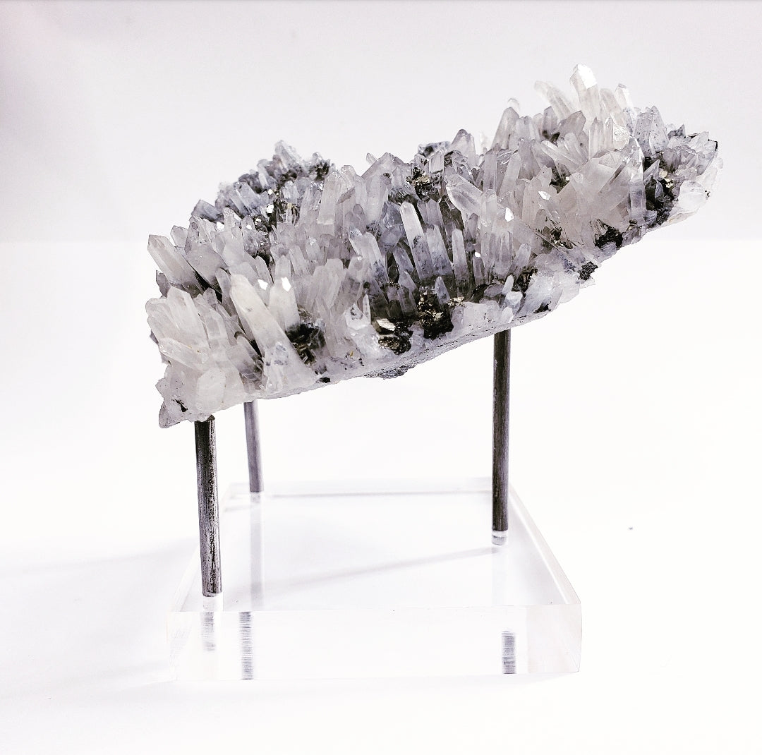 Clear 3 Prong Stand